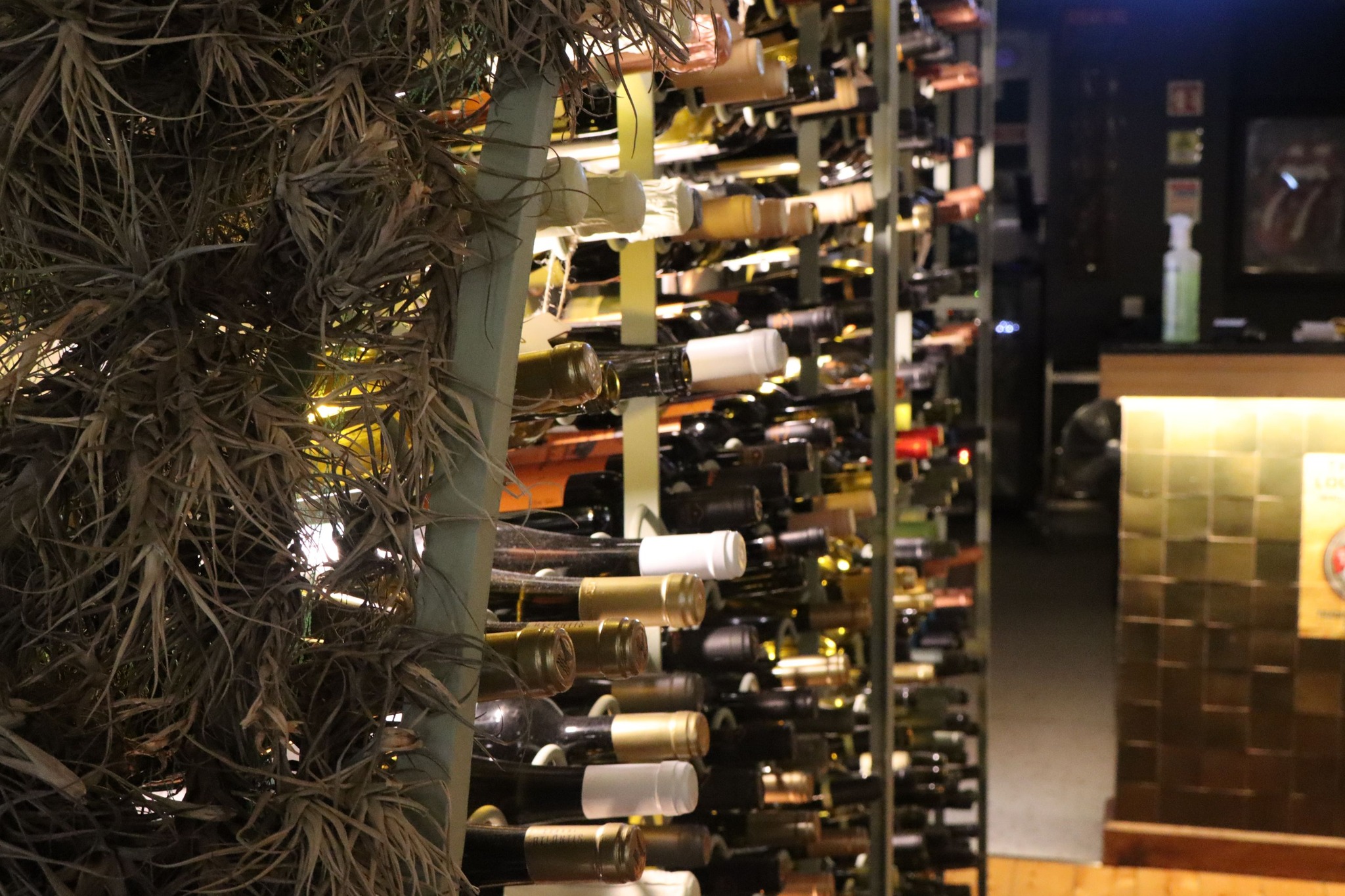 Cervejaria do Canto_1