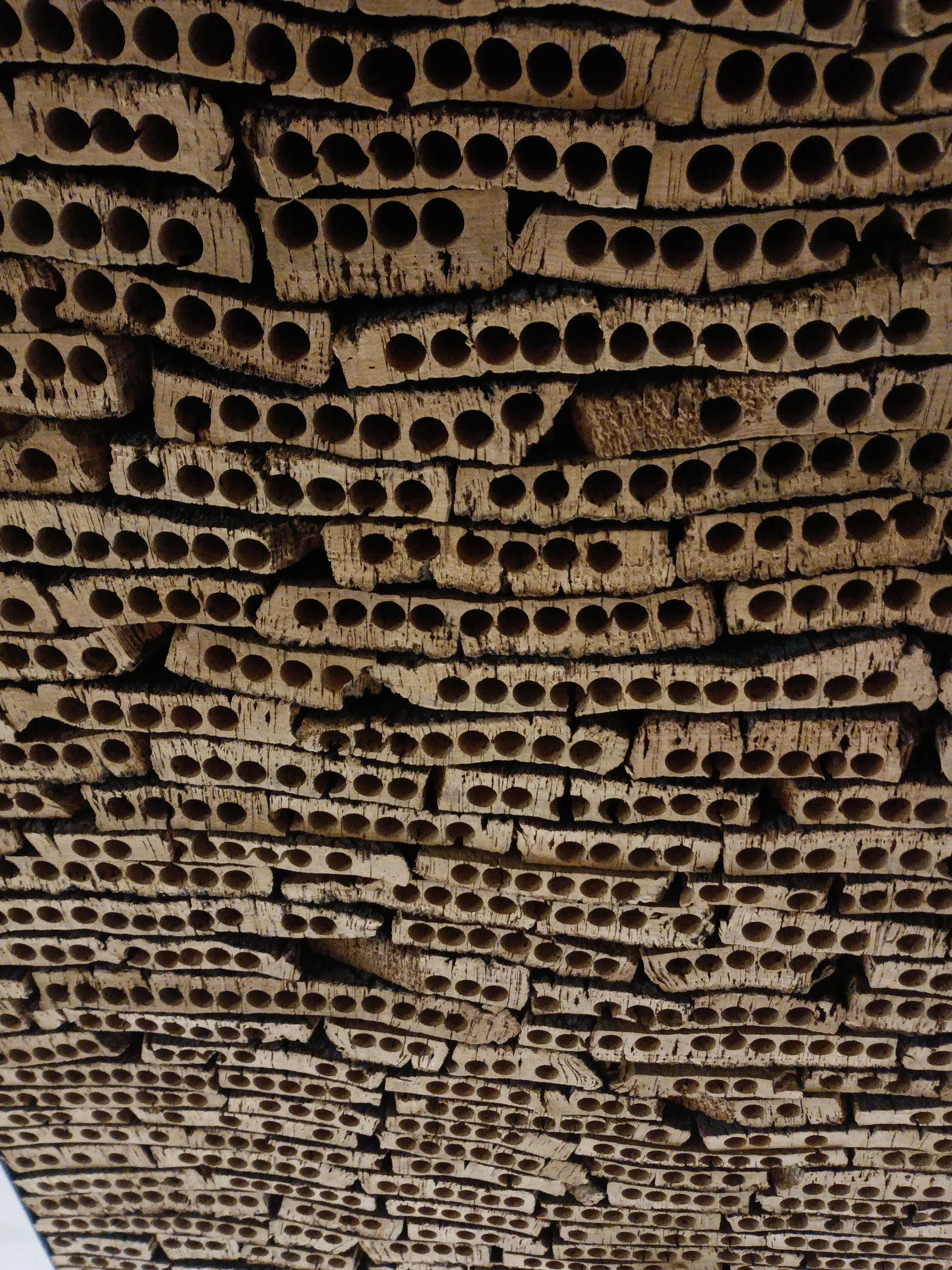 Cervejaria do Canto_3.jpg